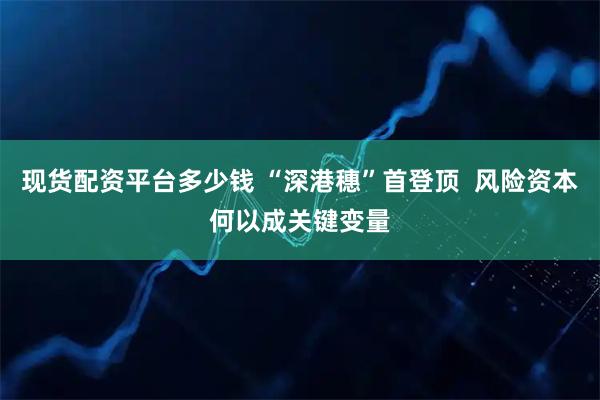 现货配资平台多少钱 “深港穗”首登顶  风险资本何以成关键变量