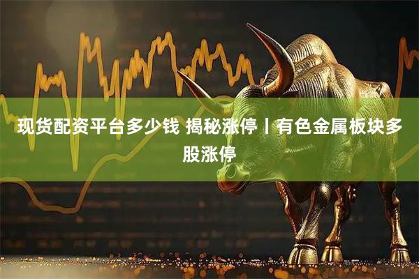 现货配资平台多少钱 揭秘涨停丨有色金属板块多股涨停