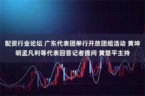 配资行业论坛 广东代表团举行开放团组活动 黄坤明孟凡利等代表回答记者提问 黄楚平主持